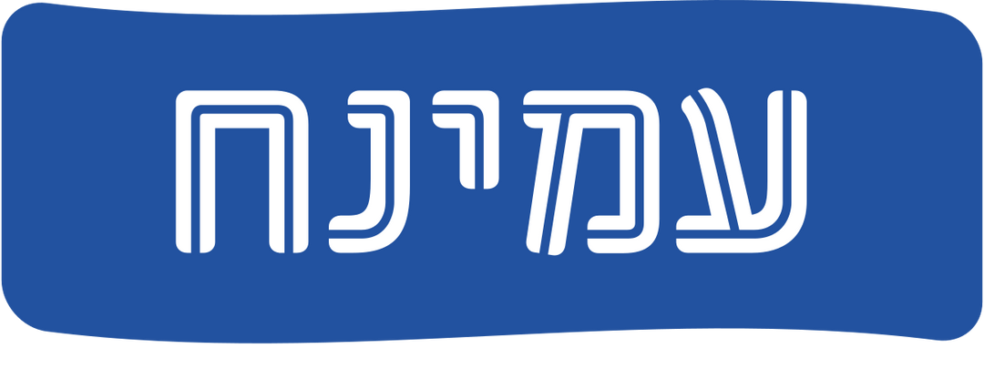 מזרני עמינח